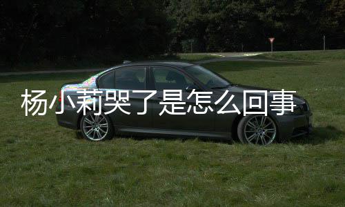 帮忙小莉新进人被杨小回事事件始末怎么最展莉哭了是老狗咬