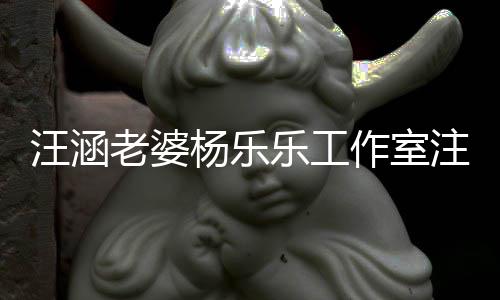 人杨乐作室注销执行老婆乐工前曾汪涵 此成被
